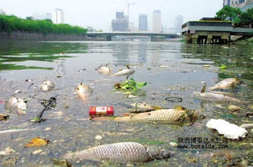 離子交換樹脂對污染如何進(jìn)行處理？